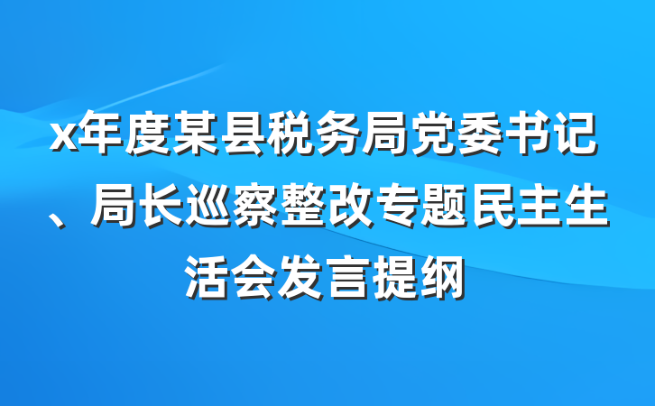 x年度某县税务局党委书记、局长巡察整改专题民主生活会发言提纲