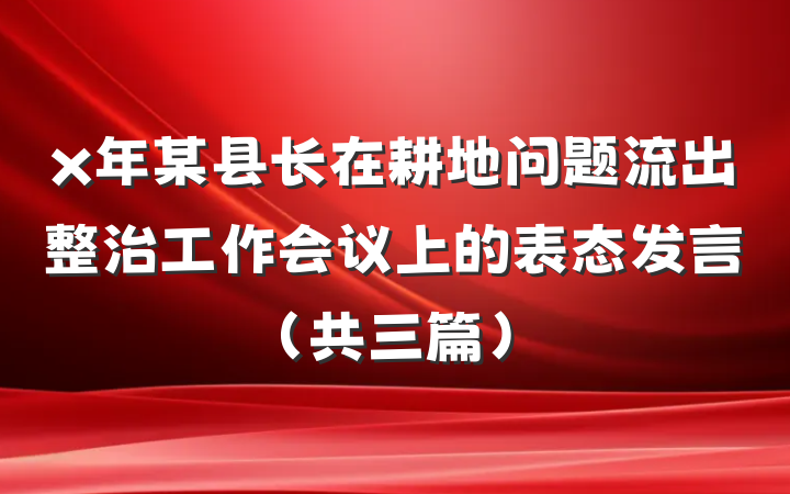 x年某县长在耕地问题流出整治工作会议上的表态发言（共三篇）