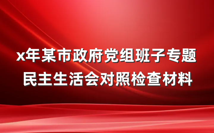 x年某市政府党组班子专题民主生活会对照检查材料
