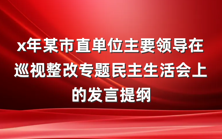 x年某市直单位主要领导在巡视整改专题民主生活会上的发言提纲