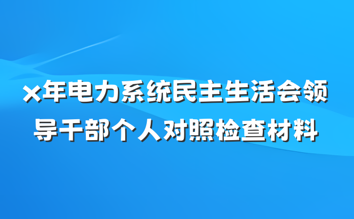 x年电力系统民主生活会领导干部个人对照检查材料