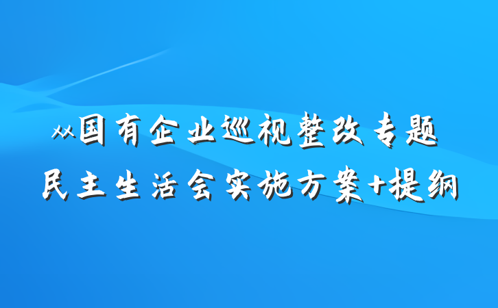 xx国有企业巡视整改专题民主生活会实施方案 提纲