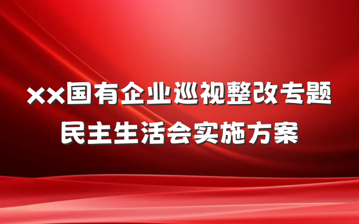 xx国有企业巡视整改专题民主生活会实施方案