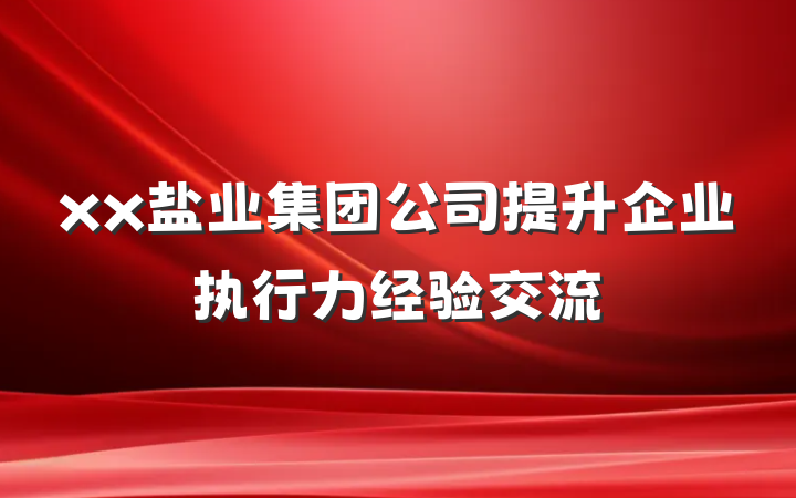xx盐业集团公司提升企业执行力经验交流